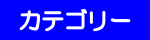 カテゴリー